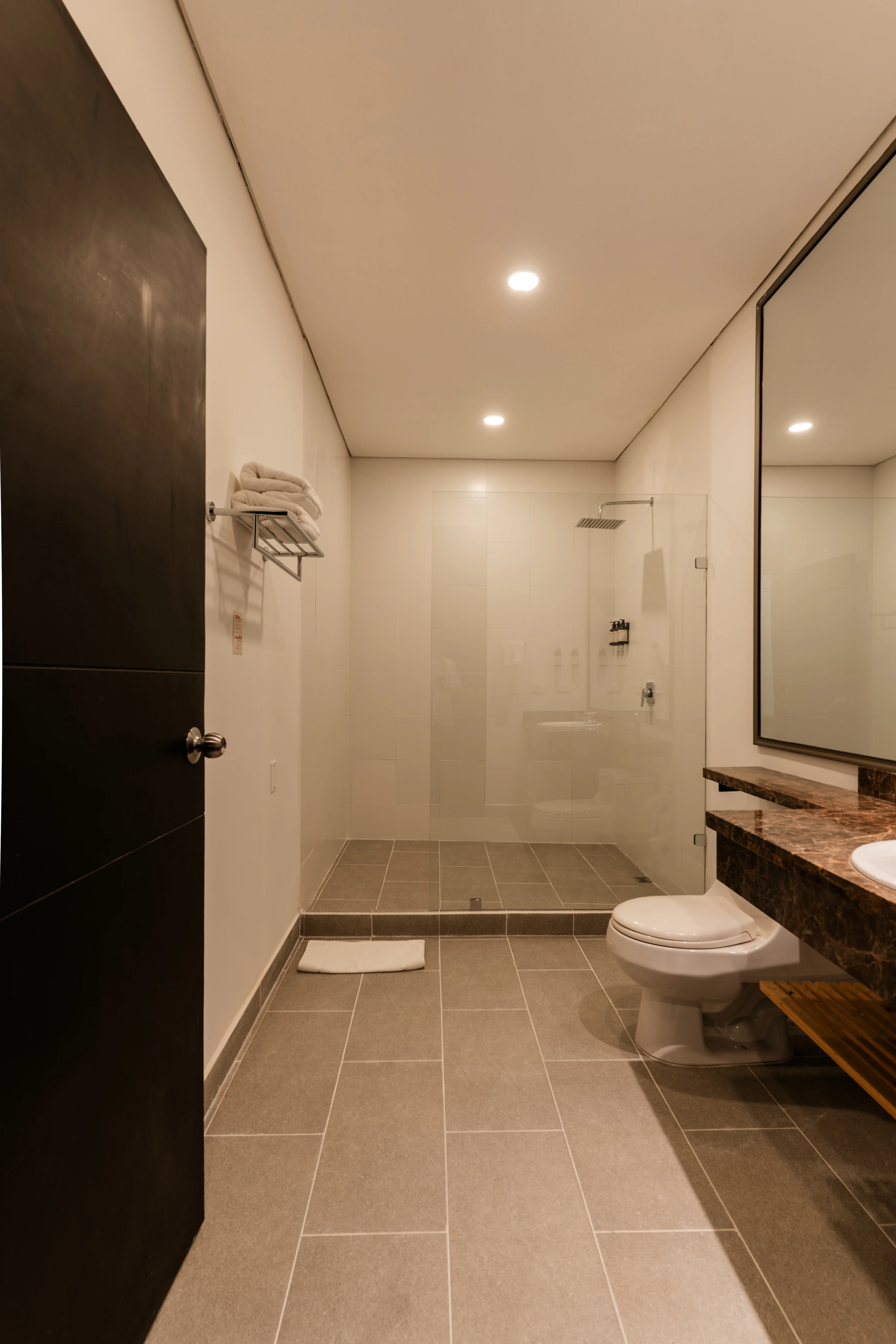 Ducha de lluvia Junior Suite Best Western